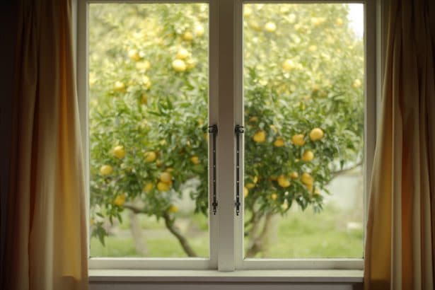 nettoyer le pollen sur les fenêtres